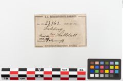 Etiketten zu Bronzearmreif (NHMW-PRAE-023763)